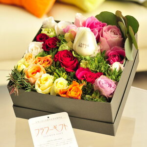 ybZ[Wz[YBOXiXNGAE~bNXojcт̃o_za j JXj j Vzj zj ސEj 蕨 t[Mtg v