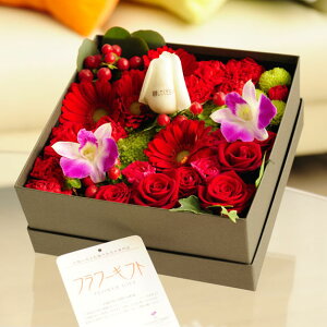 ybZ[Wz~bNX[YBOXiXNGAEԌnjcт̃o_za j JXj j Vzj zj ސEj 蕨 t[Mtg v