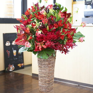 yzX^hԁ@XNGA^Cv@LTCY@OWA[_iԌnjJX J J@ J  j[A I[v ړ] a  \ W  J Cxg 