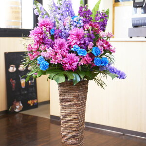 yzX^hԁ@XNGA^Cv@LTCY@u[lXip[v×u[njJX J J@ J  j[A I[v ړ] a  \ W  J Cx