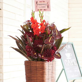 楽天市場 アジアン 花 観葉植物 花 ガーデン Diy の通販
