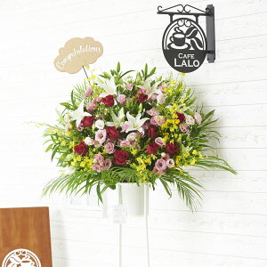 yzzn聄3D̃bZ[WDmCongratulationsio^jnt@X^hԁ@i܂@1.5~R[XKij AWgt[ ĉ t[Mtg  