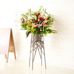 yzzn聄fUCi[YX^hԁ@u`^Cv@܂J[j@i ƑnI I fUC t t[Mtg  v[g 蕨 Sz b