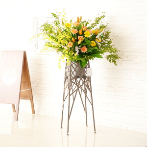 yzzn聄fUCi[YX^hԁ@u`^Cv@CG[IWj@i ƑnI I fUC t t[Mtg  v[g 蕨 Sz 