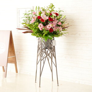 yzzn聄fUCi[YX^hԁ@u`^Cv@sNԂj@i ƑnI I fUC t t[Mtg  v[g 蕨 Sz bZ[