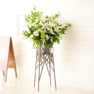 yzzn聄fUCi[YX^hԁ@u`^Cv@O[j@i ƑnI I fUC t t[Mtg  v[g 蕨 Sz bZ