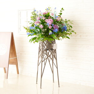 yzzn聄fUCi[YX^hԁ@u`^Cv@u[p[vj@i ƑnI I fUC t t[Mtg  v[g 蕨 Sz 