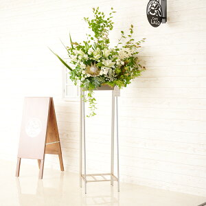 yzzn聄fUCi[YX^hԁ@p^Cv@O[j@i ƑnI I fUC t t[Mtg  v[g 蕨 Sz bZ