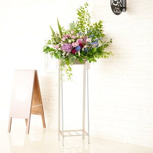 yzzn聄fUCi[YX^hԁ@p^Cv@u[p[vj@i ƑnI I fUC t t[Mtg  v[g 蕨 Sz 