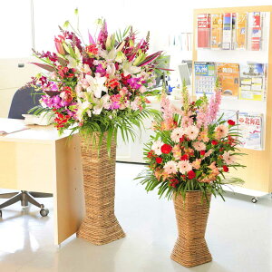 yzX^hԁ@XNGA^Cv@SEL2ZbgiԁEsNnjJX J J@ J  j[A I[v ړ] a  \ W  J Cxg j X