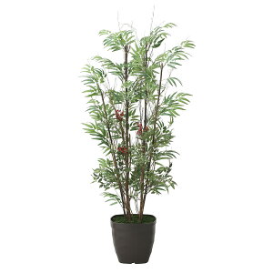 yzԃA[gEϗtA@|V1.6j A[eBtBVt[  G} L R h C t[Mtg  v[g 蕨 Sz D 