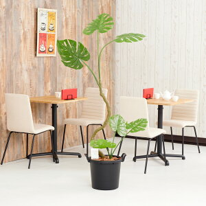 yzԃA[gEϗtA@CeAXe1.7j A[eBtBVt[  G} L R h C t[Mtg  v[g 蕨 Sz 