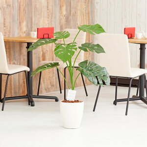 yzԃA[gEϗtA@Xe1.0j A[eBtBVt[  G} L R h C t[Mtg  v[g 蕨 Sz D 