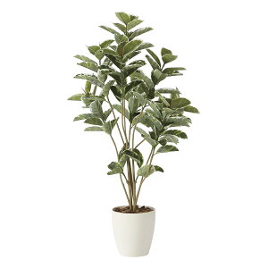 yzԃA[gEϗtA@AeV}DX1.6j A[eBtBVt[  G} L R h C t[Mtg  v[g 蕨 Sz D 