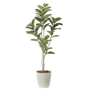 yzԃA[gEϗtA@AeV}1.6j A[eBtBVt[  G} L R h C t[Mtg  v[g 蕨 Sz D 