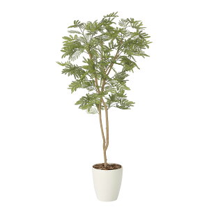 yzԃA[gEϗtA@˂ނ̖1.3i|jj A[eBtBVt[  G} L R h C t[Mtg  v[g 蕨 Sz D