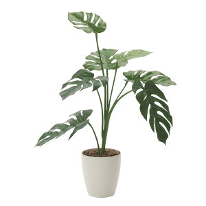 yzԃA[gEϗtA@Xe75j A[eBtBVt[  G} L R h C t[Mtg  v[g 蕨 Sz D b