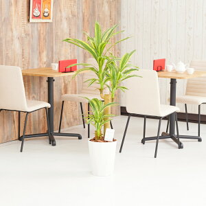 yzԃA[gEϗtA@tbVhZi1.25j A[eBtBVt[  G} L R h C t[Mtg  v[g 蕨 Sz 