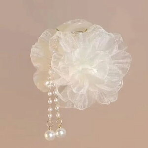  Nbv hp[r[Y  a ԉΑ Vv  V[g  ͂ 킢 l Ǝ OB ԉ ܎O  w č