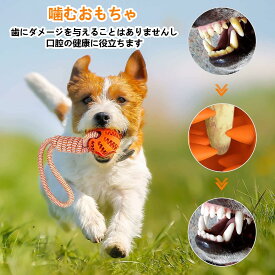 おやつボール パック 犬 おもちゃ 人気 噛む おやつボール 犬ロープおもちゃ ストレス解消 丈夫 耐久性 清潔 歯磨き ひっぱりっこ 玩具 小型犬 中型犬 大型犬 おやつボール 3個パック5CM 6CM