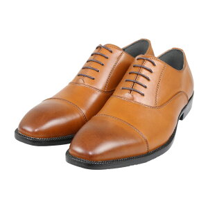 y݌v̔9˔jz rWlXV[Y 2 Zbg Y vC Xg[g`bv JWA Xb| 傫TCY L 3E RXp RȂ  [t@[ w _[NuE 