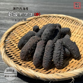 【お試し】乾燥なまこ 赤なまこ 瀬戸内海産 100g 送料無料 メール便 干しなまこ 金ん子 ネコポス 簡易包装 国産 天然 高級品 極上 海鼠 ナマコ 自家製 高級珍味 高級料亭 お中元 御中元