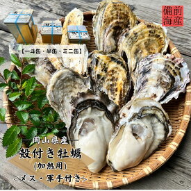 【12月15日から発送予定】殻付き牡蠣 加熱用 送料無料 岡山県産 お歳暮 一斗缶 半缶 ミニ缶 缶入り 冷蔵 10kg 5kg 2.5kg 牡蠣 カキ かき 海鮮 BBQ バーベキュー お取り寄せ 蒸し牡蠣 カキフライ 焼き牡蠣 メス 軍手 御歳暮 ギフト 贈答用 缶入り 地物 お正月 年末年始