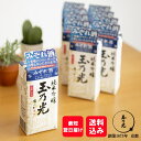 【 大人の かき氷 】 日本酒 セット お酒 ギフト 純米吟醸 みぞれ酒 青パック 300ml×10パック 家飲み おうち時間 SAKEカクテル 誕生日プレゼント 御祝 贈答用 純米酒 贈答 プレゼント 送料無料 京都 地酒 内祝 内祝い 結婚祝い 凍結酒 誕生日 退職祝