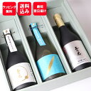 お酒 ギフト 玉乃光 純米大吟醸 3種 豪華 飲み比べ セット 化粧箱入 日本酒 飲み比べセット 送料無料 御祝 プレゼント 内祝 贈り物 誕生日プレゼント ラッピング無料 メッセージカード無料 京都 地酒 内祝い 結婚祝 退職祝
