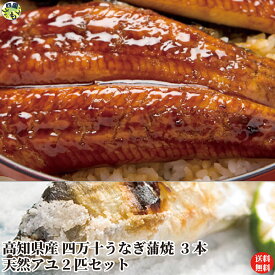 【送料無料】四万十うなぎ蒲焼 110g×3尾と四万十川の天然アユ2匹セット タレ付き 真空パック 蒲焼き うなぎ 四万十うなぎ 鮎 贈り物 ギフト 高知県 冷凍クール便 【四国物産】