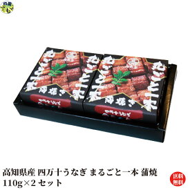 【送料無料】四万十うなぎ まるごと一本 110g×2缶セット 蒲焼 うなぎ 四万十うなぎ 缶詰 高知県 常温便 【四国物産】