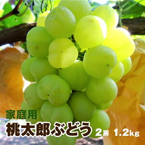 y925oח\zRY YԂǂƒp 2[i1.2kgj˃WCAc Ԃǂ uhE 햳Ԃǂ hV̓ Mtg