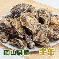 殻付き生牡蠣 岡山県 邑久町産 曙牡蠣 | 60個(5-6kg)前後 お手頃半缶サイズ ■ 牡蠣むきナイフ、軍手付き…