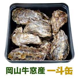 楽天市場 一斗缶 食品 の通販