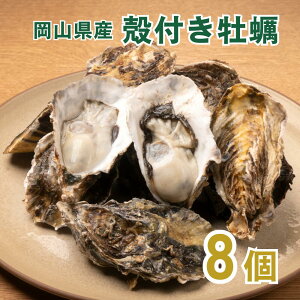 kty ypbN 8 R WvY yH  kty  kt JL  a Hp l CNo[xL[ BBQysmtb-kdzyfsp2124z