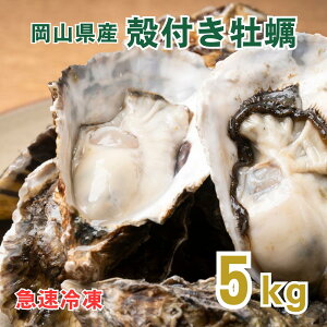kty RY }Ⓚ kty Mp | 5kg(50)  kty kt JL  a y Hp CN o[xL[ BBQ