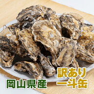 【12月初旬頃から発送開始予定】訳あり小粒殻付き牡蠣一斗缶200～250個(10kg)以上 | 岡山県 邑久町産 曙…