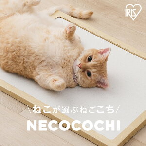 ybg}bg Lp ~  {L xbh ]y }bg ˂ NECOCOCHI NCC-45 lRp CX]y}bg Lp ˂p ]y ˂ lR ybg}bg ybgxbh Q mAXxXg 