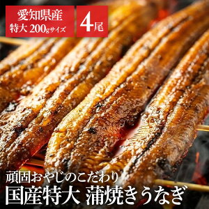 【4尾】頑固おやじのこだわり鰻 うなぎ かば焼き 国産 鰻蒲焼 冷凍 800g 愛知県 厳選 愛知県産 土用 Tokka 【TD】 【代引不可】