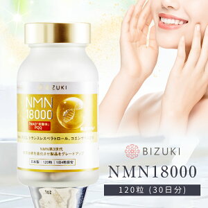 yBIZUKIz@@NMN18000 [NHi { GMPH Si ]