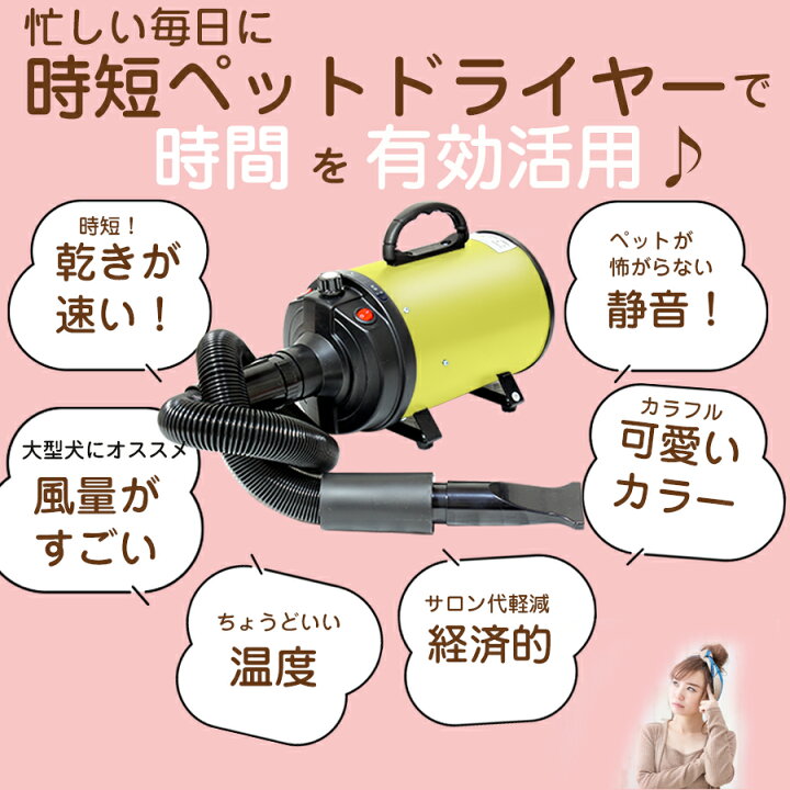 楽天市場】【8月3日入荷予定】【ランク1位】ペット ドライヤー 犬 