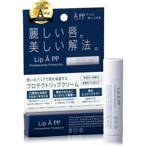 yN[|Ώہz Lip APP 4g bvG[ vtFbViveNV veNgbvN[ bvN[ ێ Mtg 킢   bv