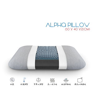 Alpha Pillow  R L VN ⊴ T|[gЂ Ȃ |Y Y hJr C pP 60 x 40 x12cm 傫 傫TCY 傫 Ch   j  ̓ Mі j