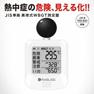 黒球式 熱中症指数計 WBGT測定器 プロ仕様 暑さ指数 JIS準拠 熱中症計 熱中症対策グッズ 安全管理 熱スト…