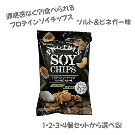 プロテインチップス ソルト＆ビネガー味 PROTEINSOYCHIPS 1個 2個 3個 4個 セット 選べる 高たんぱく 低糖質 ノンフライ ギルトフリー 新登場 おやつ おつまみ スナック 堅め 噛む 満腹感 食べ過ぎ予防 送料無料