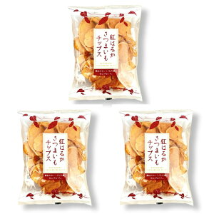 ې g͂邩܂`bvX100g 1 2 3 Iׂ Zbg  pp fނ̔ `bvX  َq XibN 