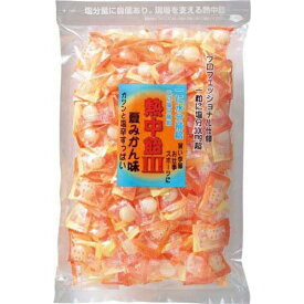 井関食品 熱中飴III 夏みかん味 1kg 業務用 現場作業や屋外活動に 熱中症 建築現場の差し入れに 運動会やスポーツ観戦 大容量サイズ 2026 ほどよい塩気 なつみかん 美味しい 個包装 タブレット対応 ミックス 塩分補給に最適 暑さ対策グッズ まとめ買い 保存食