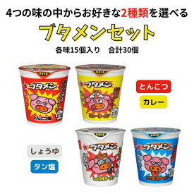 【ポイント3倍】 ブタメン 2種×各15個セット 合計30個 とんこつ カレー しょうゆ タン塩 箱買い 箱 シリーズ カップ麺 ミニ 詰め合わせ 低カロリー ケース 大量 袋詰め セット 大人買い 業務用 お菓子 子供会 夏祭り カップラーメン まとめ買い おやつ 備蓄 防災
