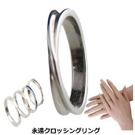 ペアリング リング 指輪 ステンレスリング 結婚指輪 マリッジリング 婚約指輪 エンゲージリング 永遠の愛 メビウスの輪永遠
