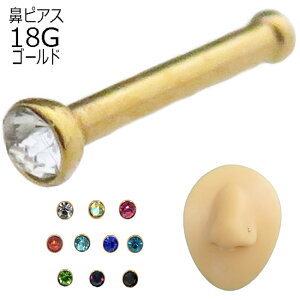 @sAX X^bh 18G XeX WGt S[h Xg[g|Xg AM[Ή Vv m[YX^bh